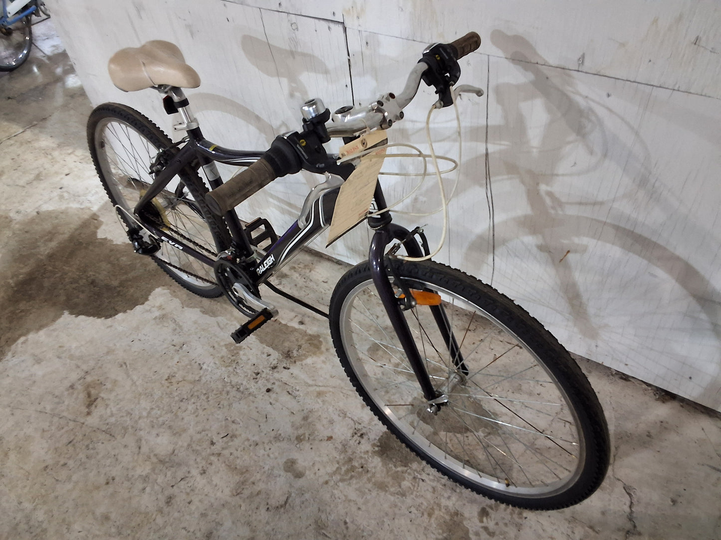 17" - EVA - Raleigh