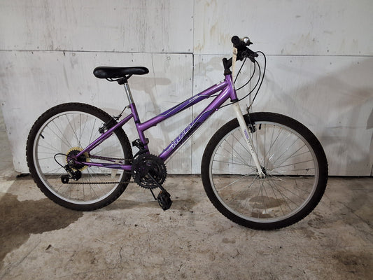 24" - GRANITE - Huffy