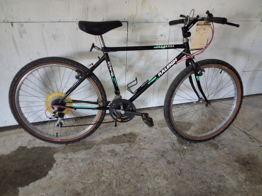 18" - PORTAGE - Raleigh