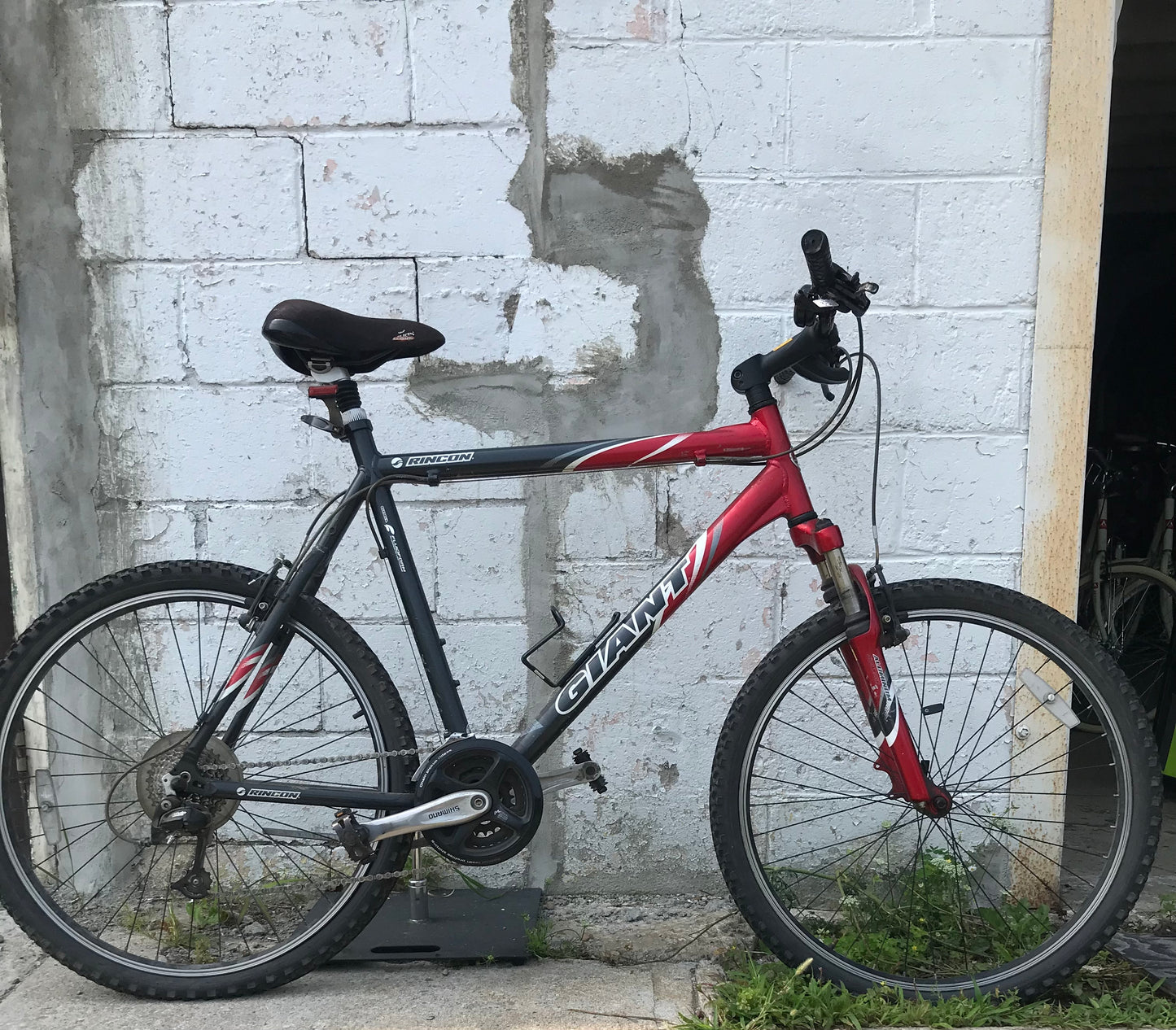 23" - RINCON - Giant