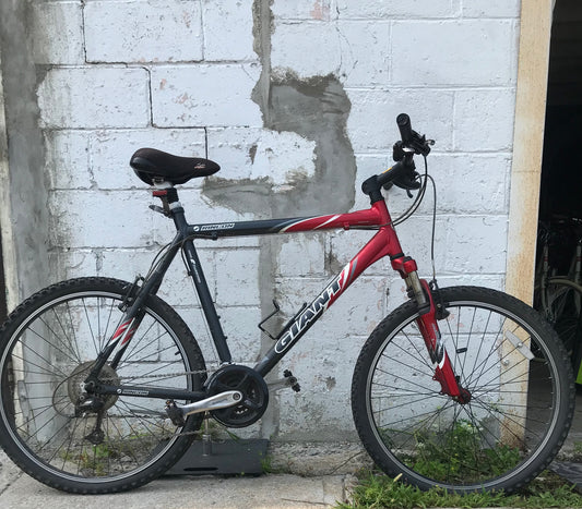 23" - RINCON - Giant
