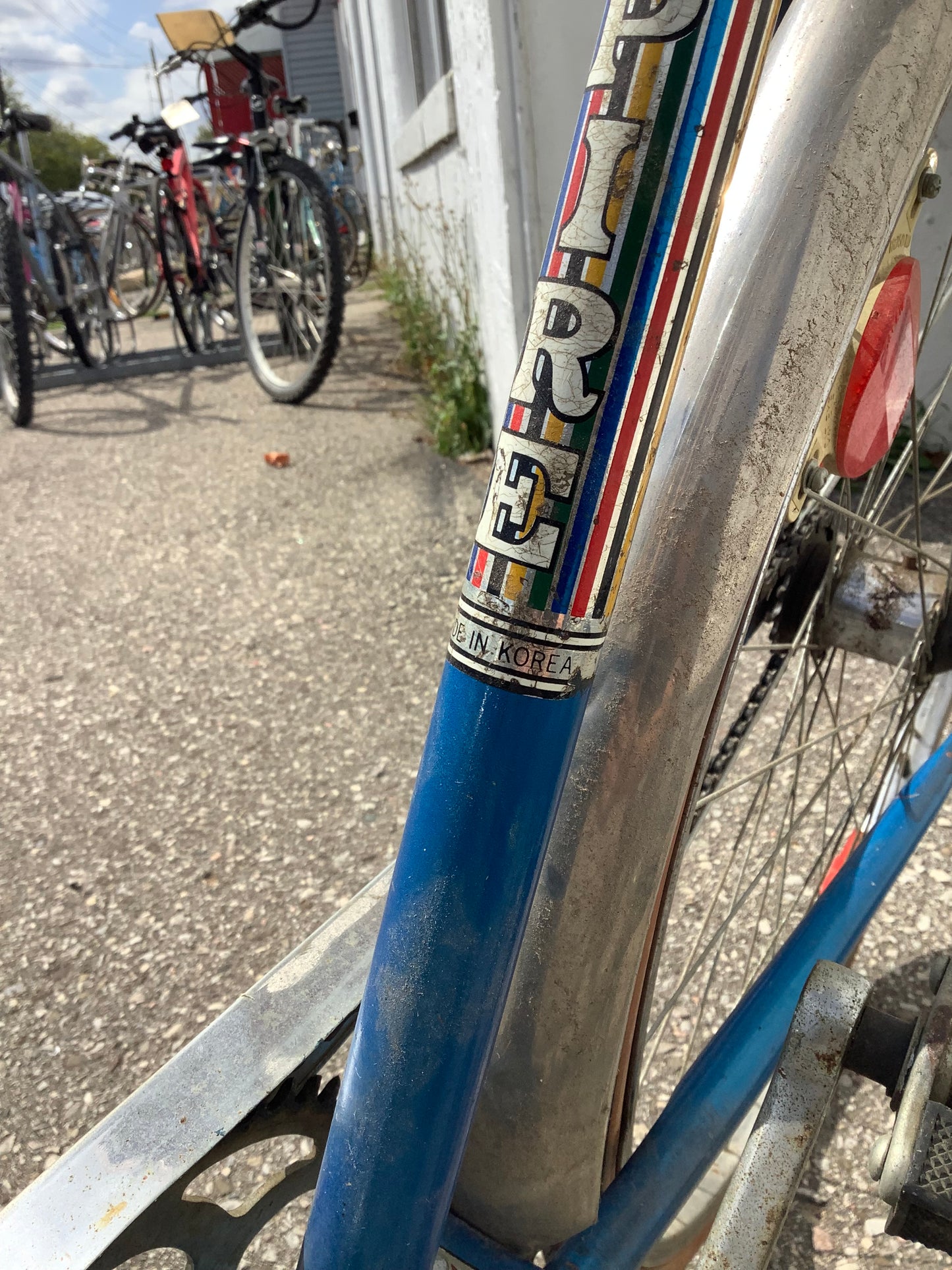 Empire - SPEEDO - 21"