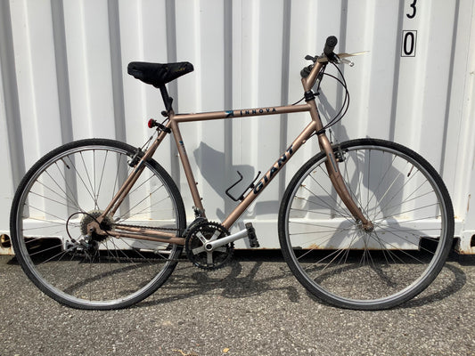 22" INNOVA - Giant