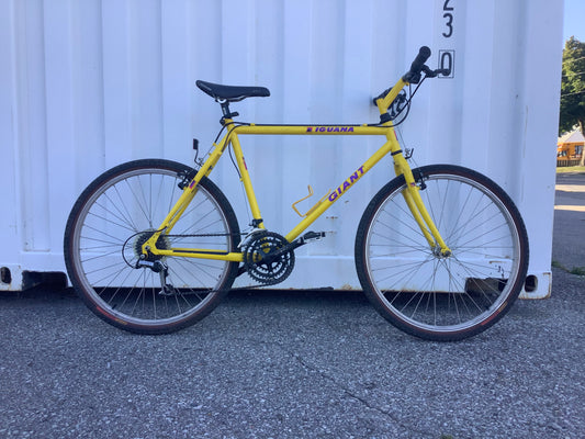 Giant - IGUANA - Vintage