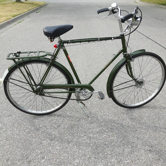 Raleigh - SUPERBE - 21"