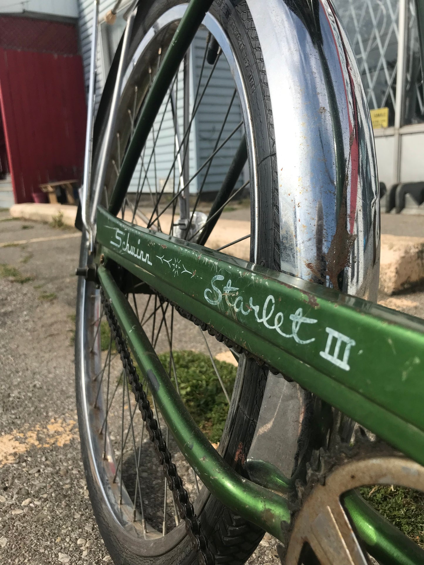 STARLET III - Schwinn
