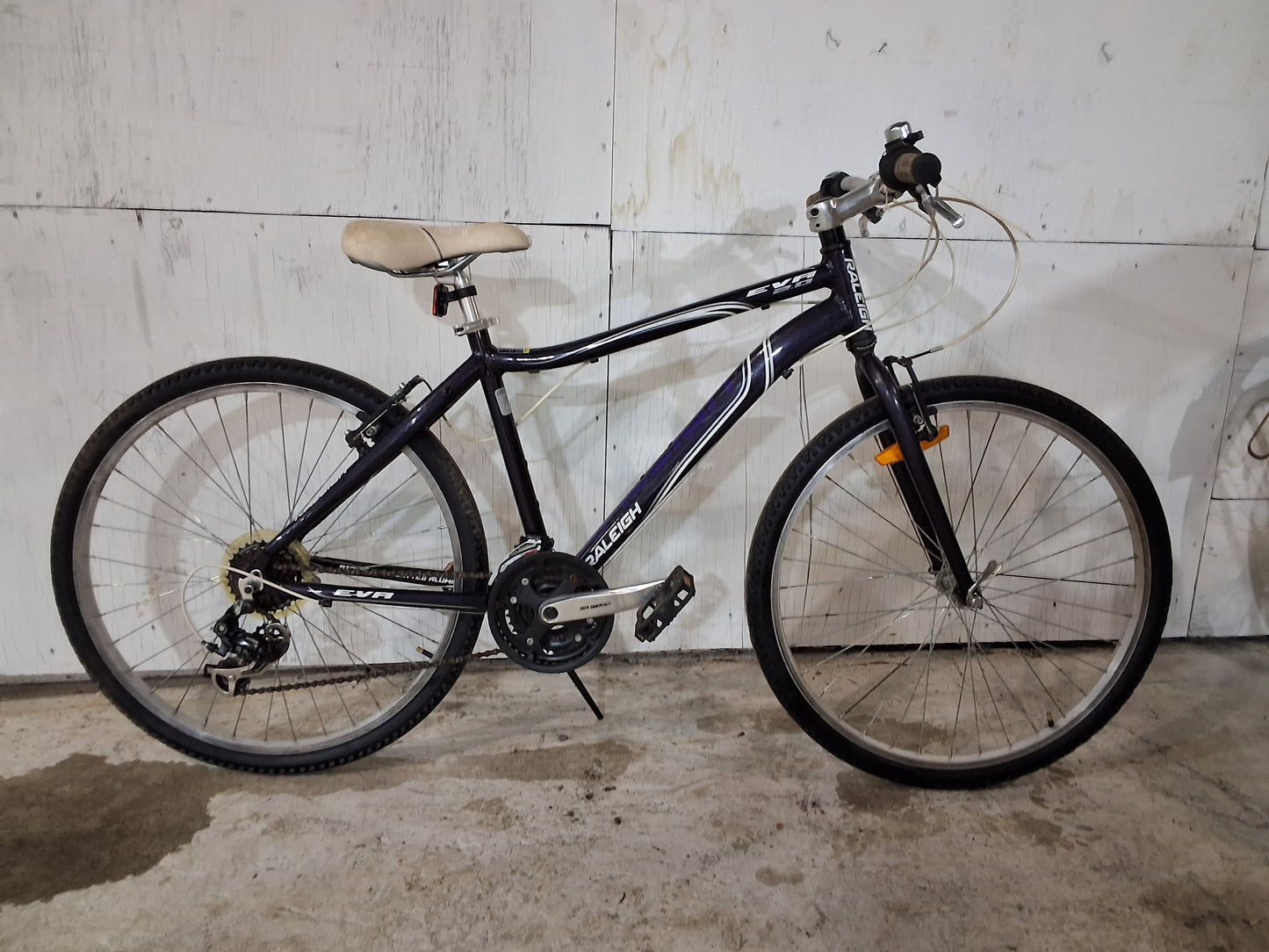 17" - EVA - Raleigh