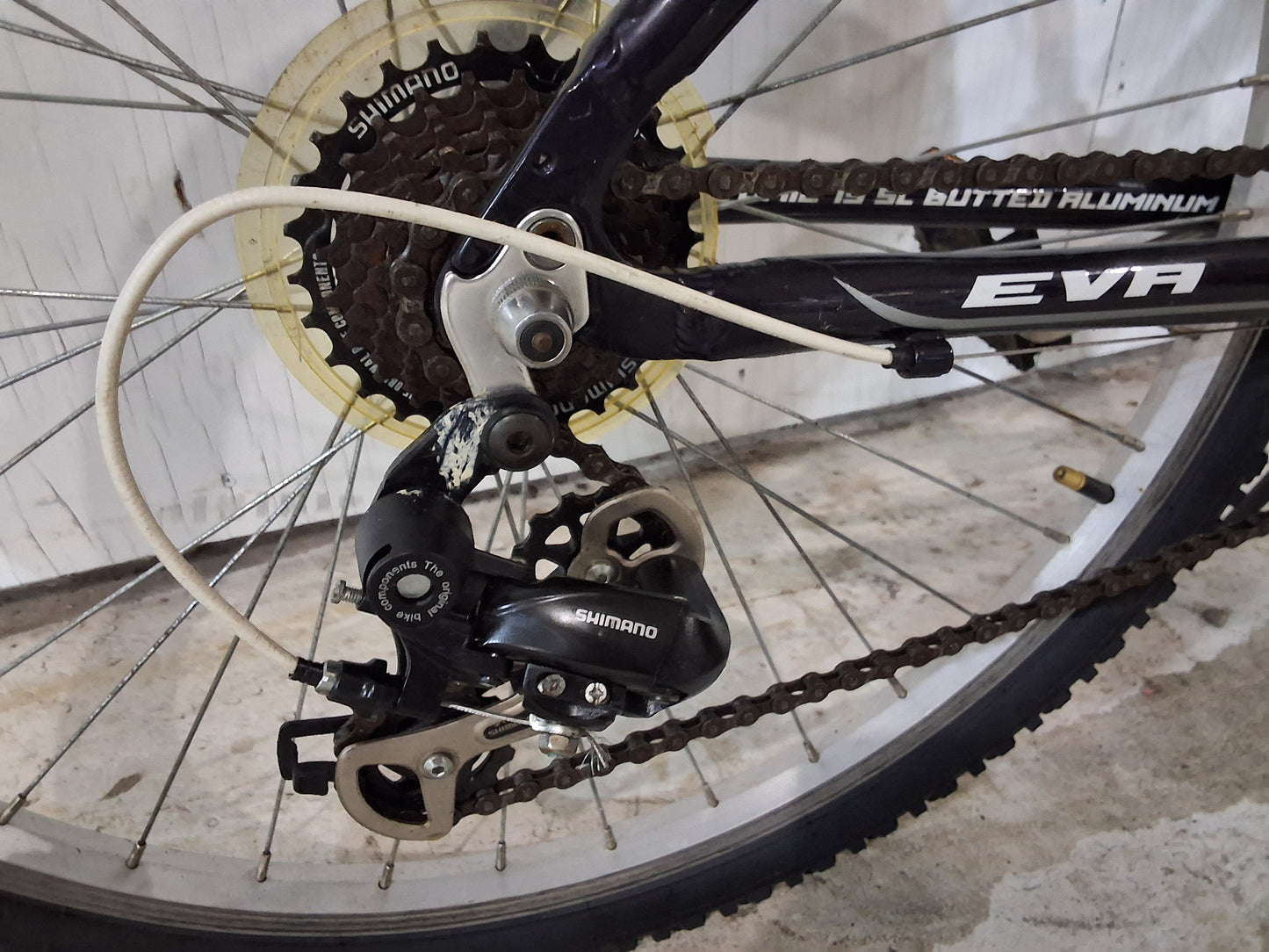 17" - EVA - Raleigh