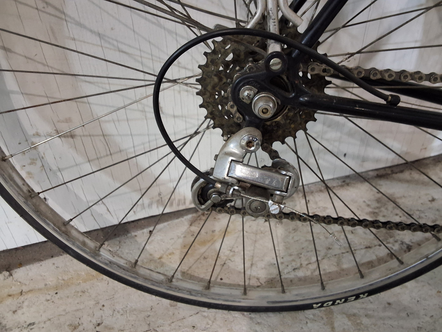 21" - INTERNATIONAL - Nishiki