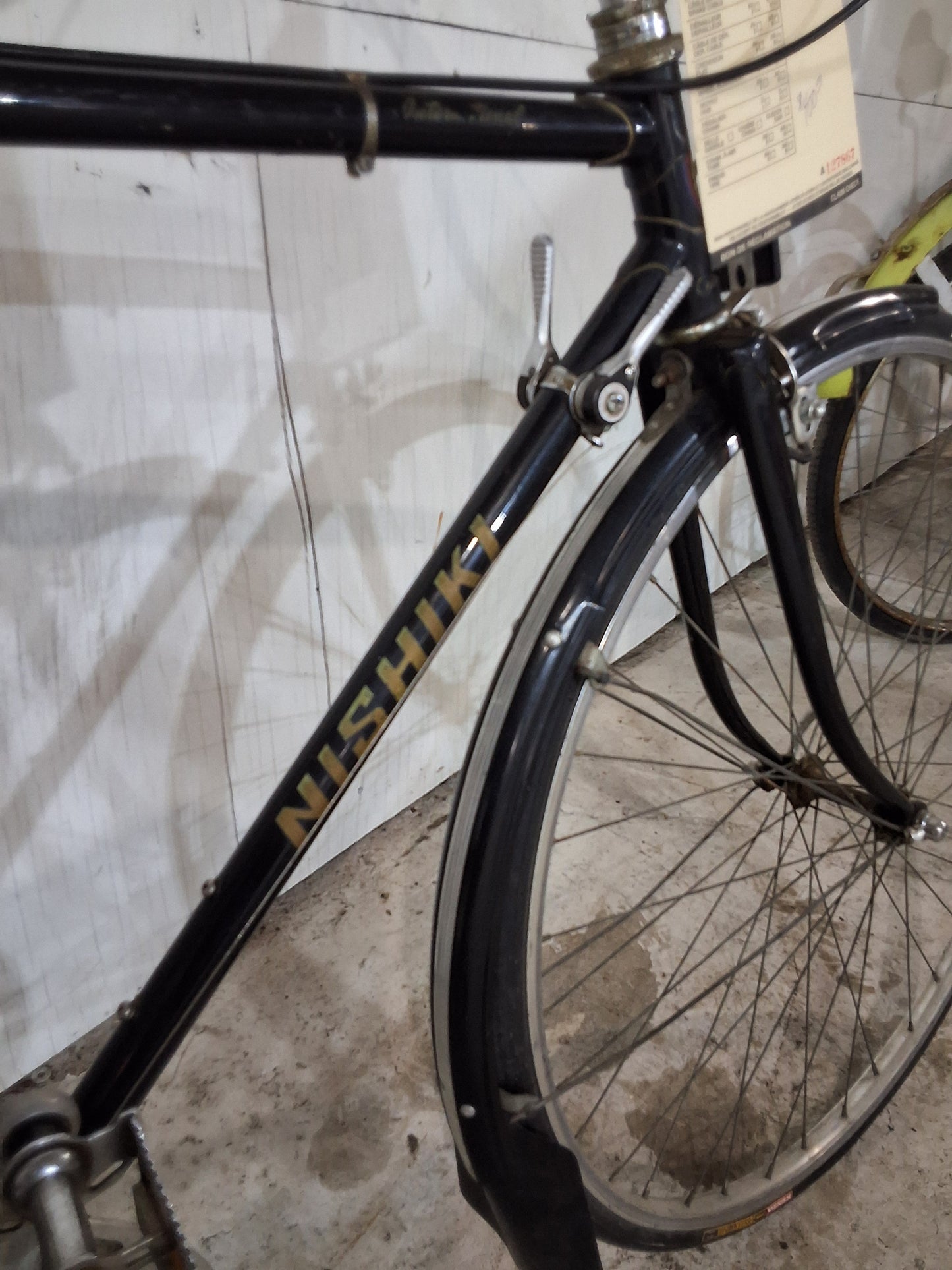 21" - INTERNATIONAL - Nishiki