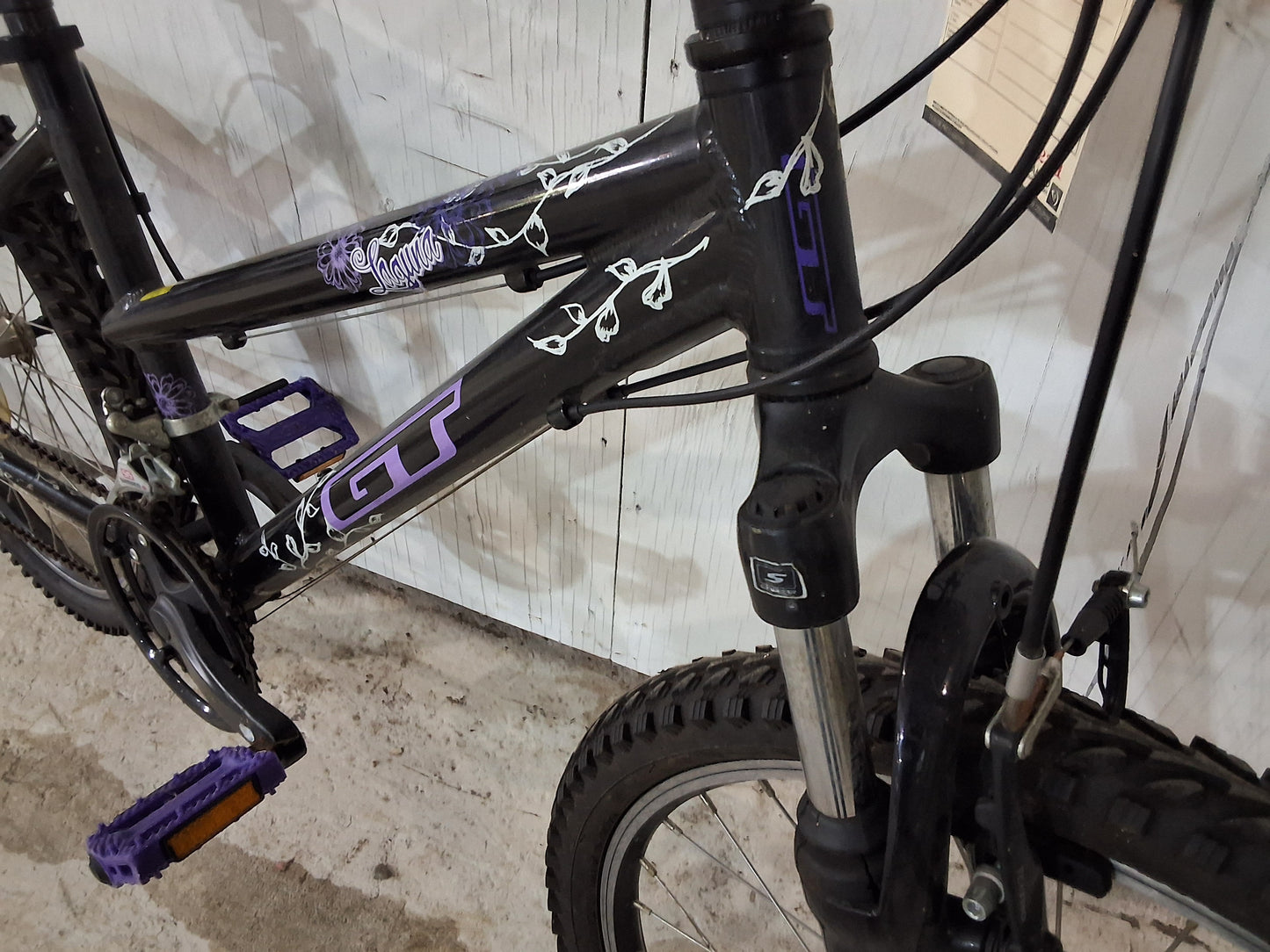 24" - LAGUNA - GT