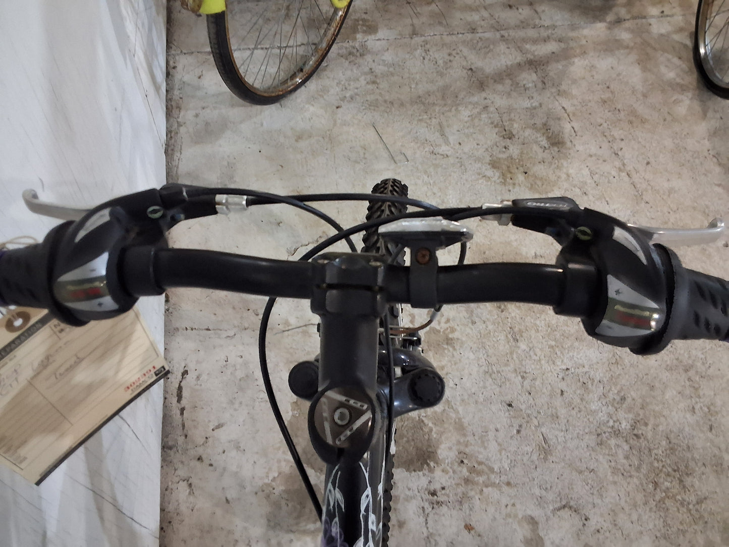 24" - LAGUNA - GT
