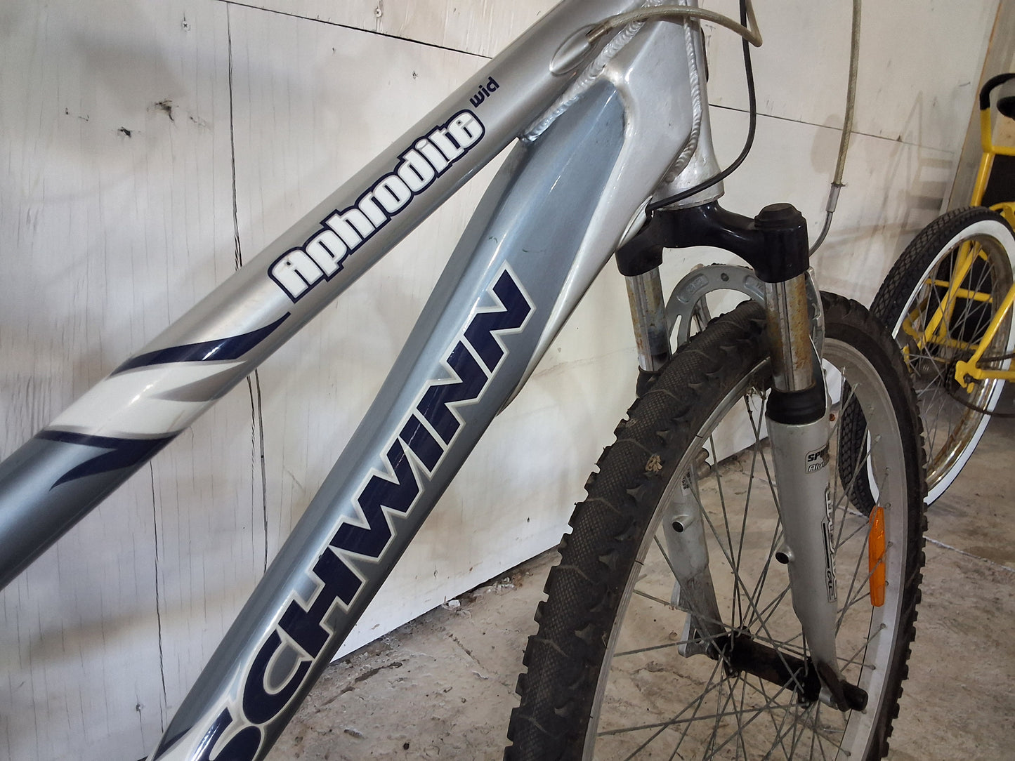 14" - APHRODITE - Schwinn