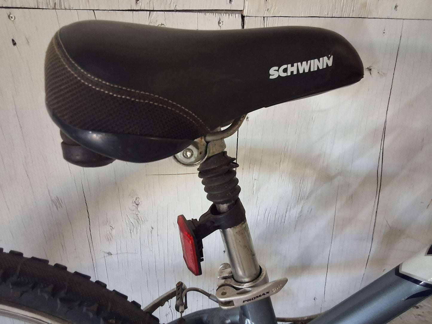 14" - APHRODITE - Schwinn