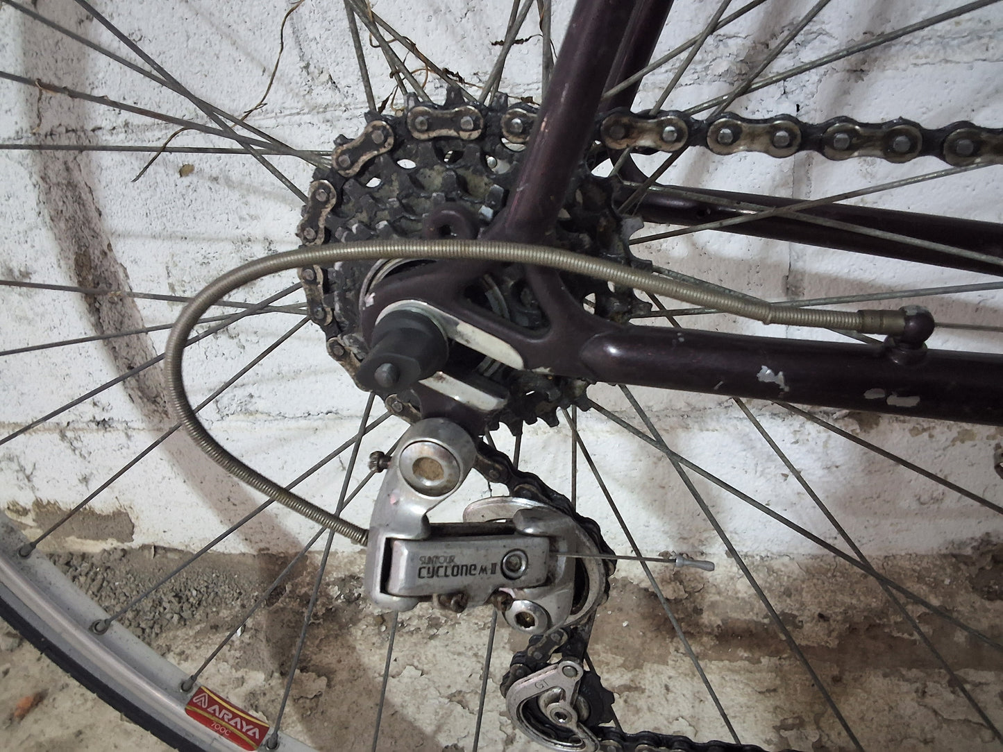 Norco - TRIATHALON - 24"