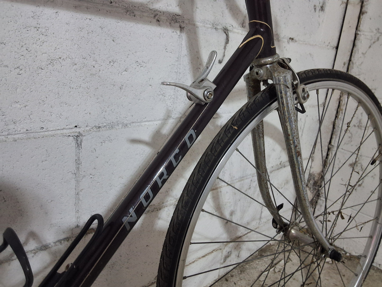 Norco - TRIATHALON - 24"