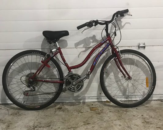 17" DISCOVERY - Raleigh