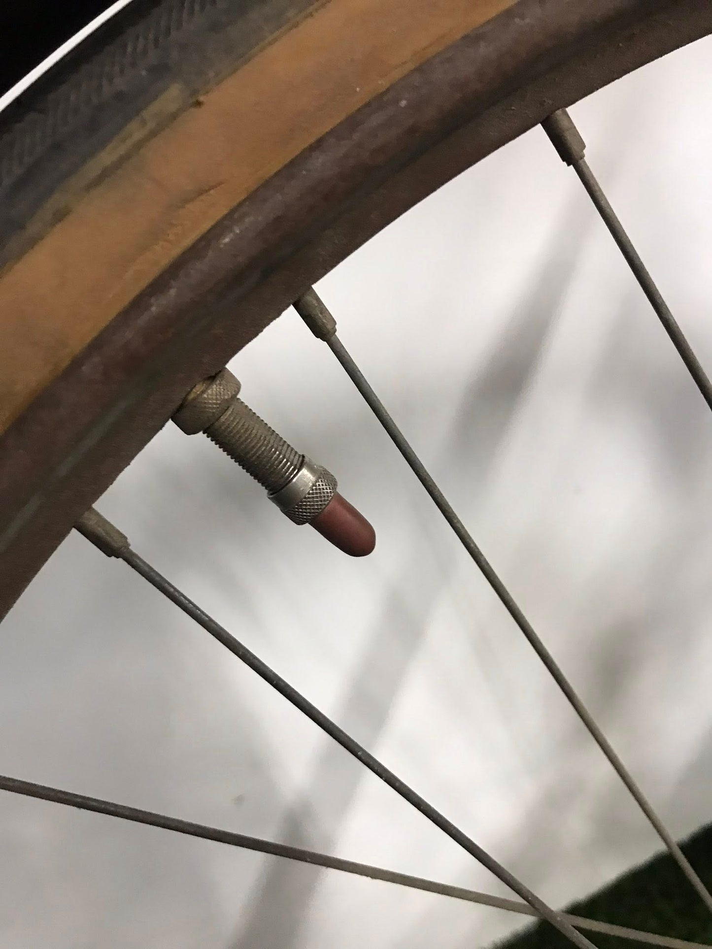 Standard Bicycle Co.
