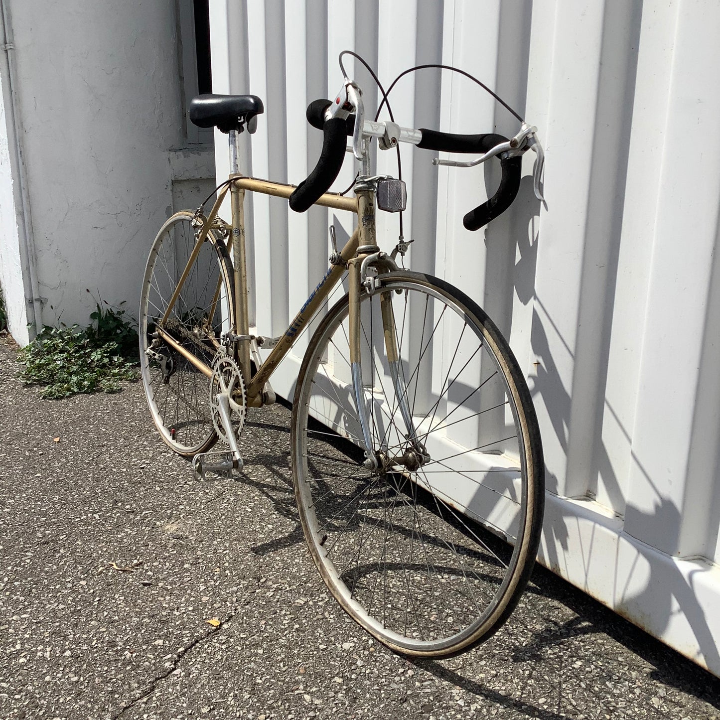 Bianchi