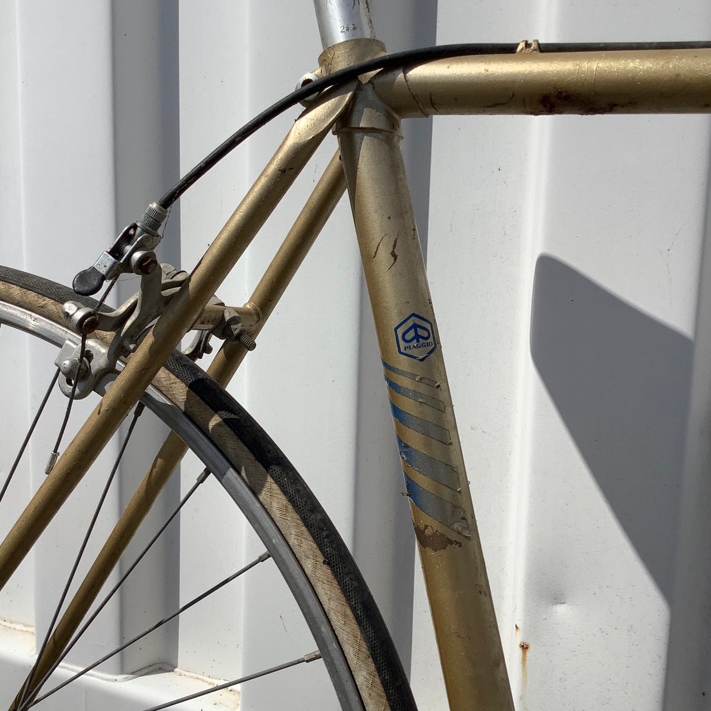 Bianchi
