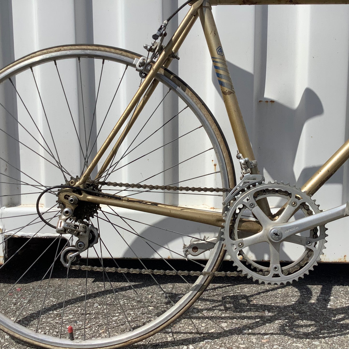 Bianchi