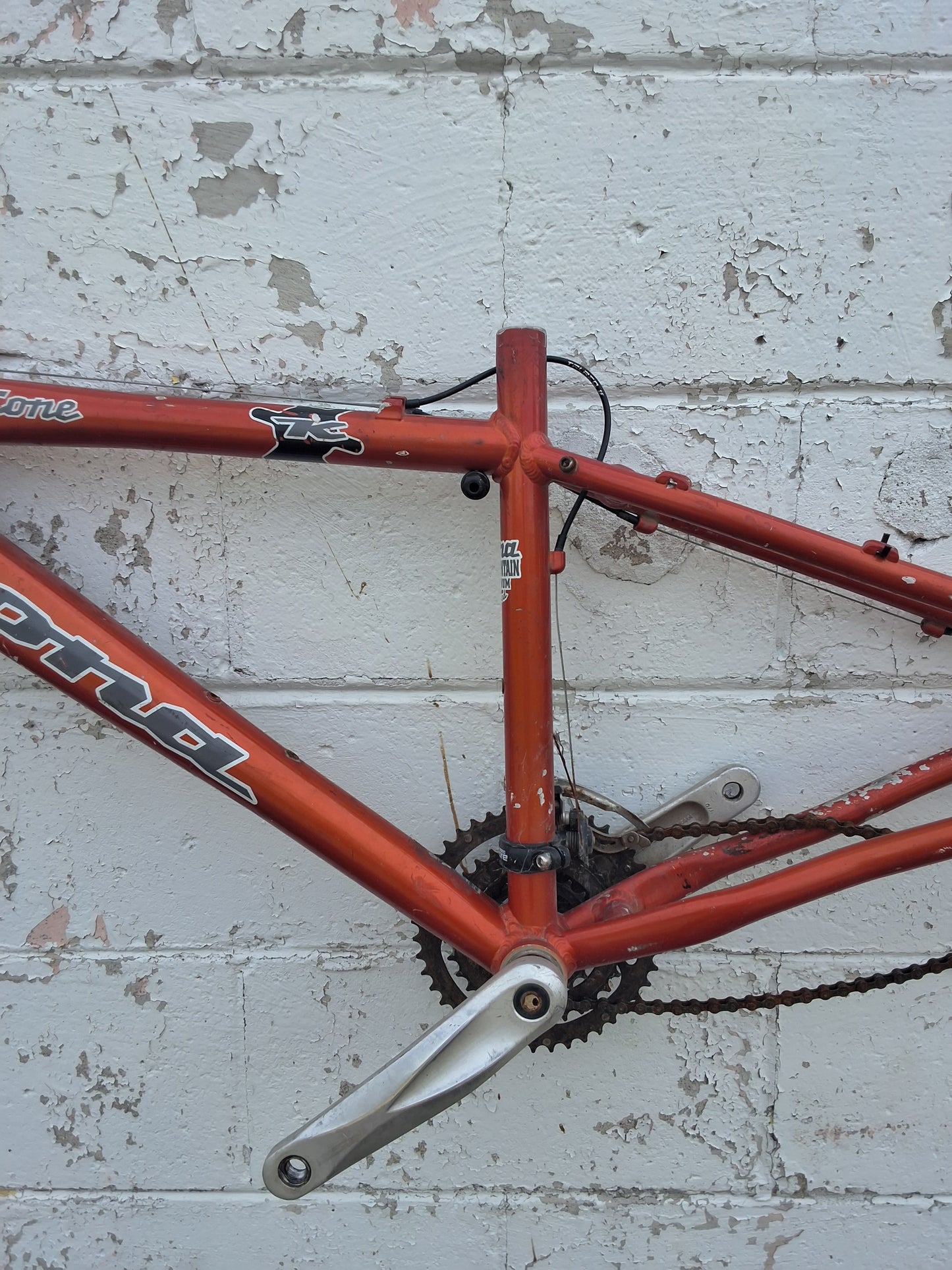 CINDER CONE - Kona - frame