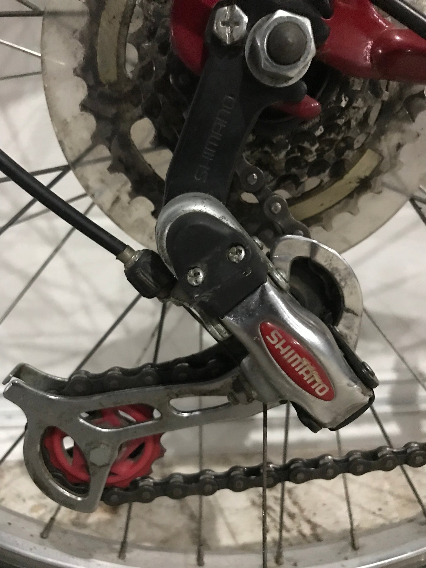 17" DISCOVERY - Raleigh