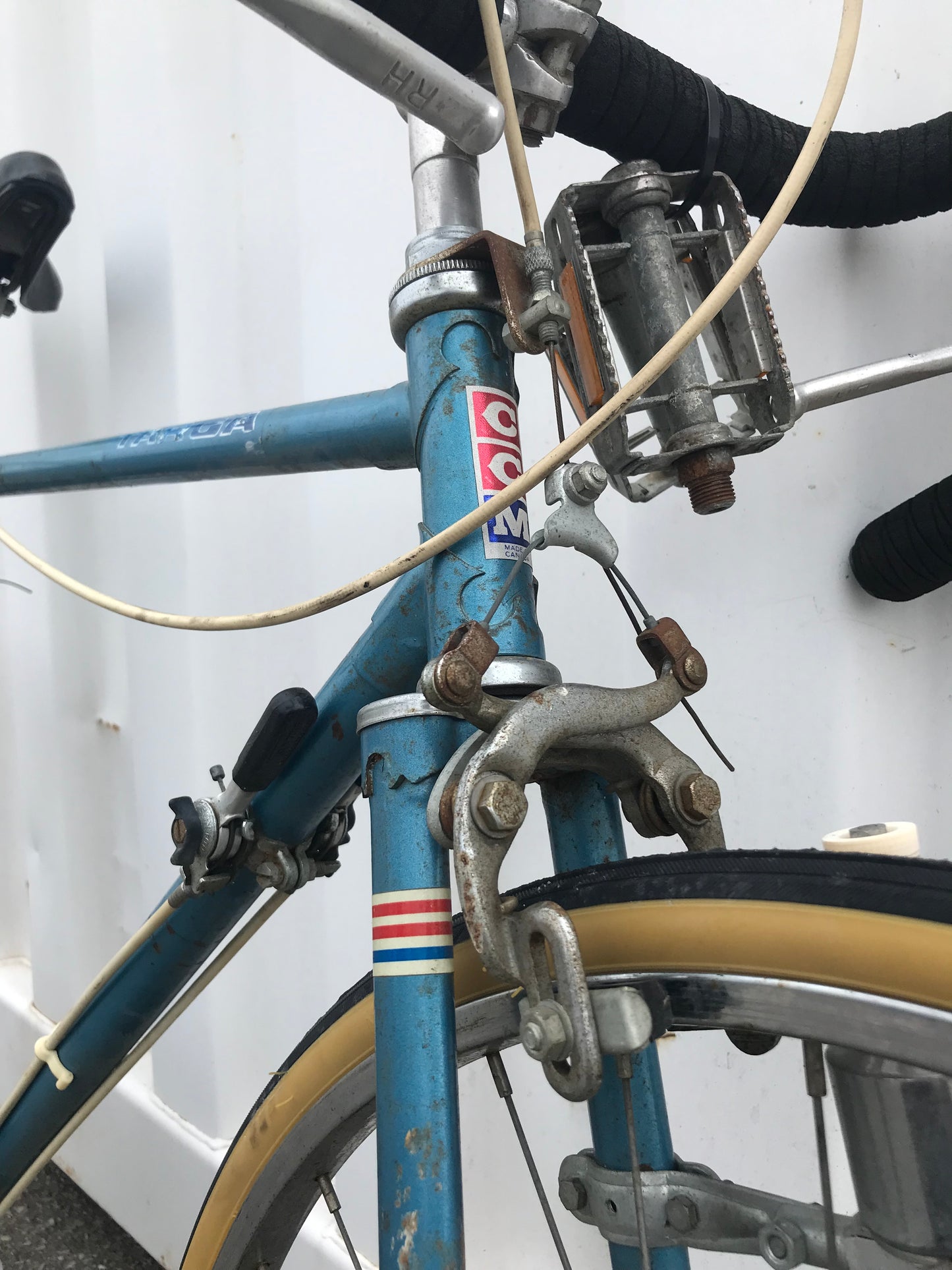 TARGA - CCM - 22” - used