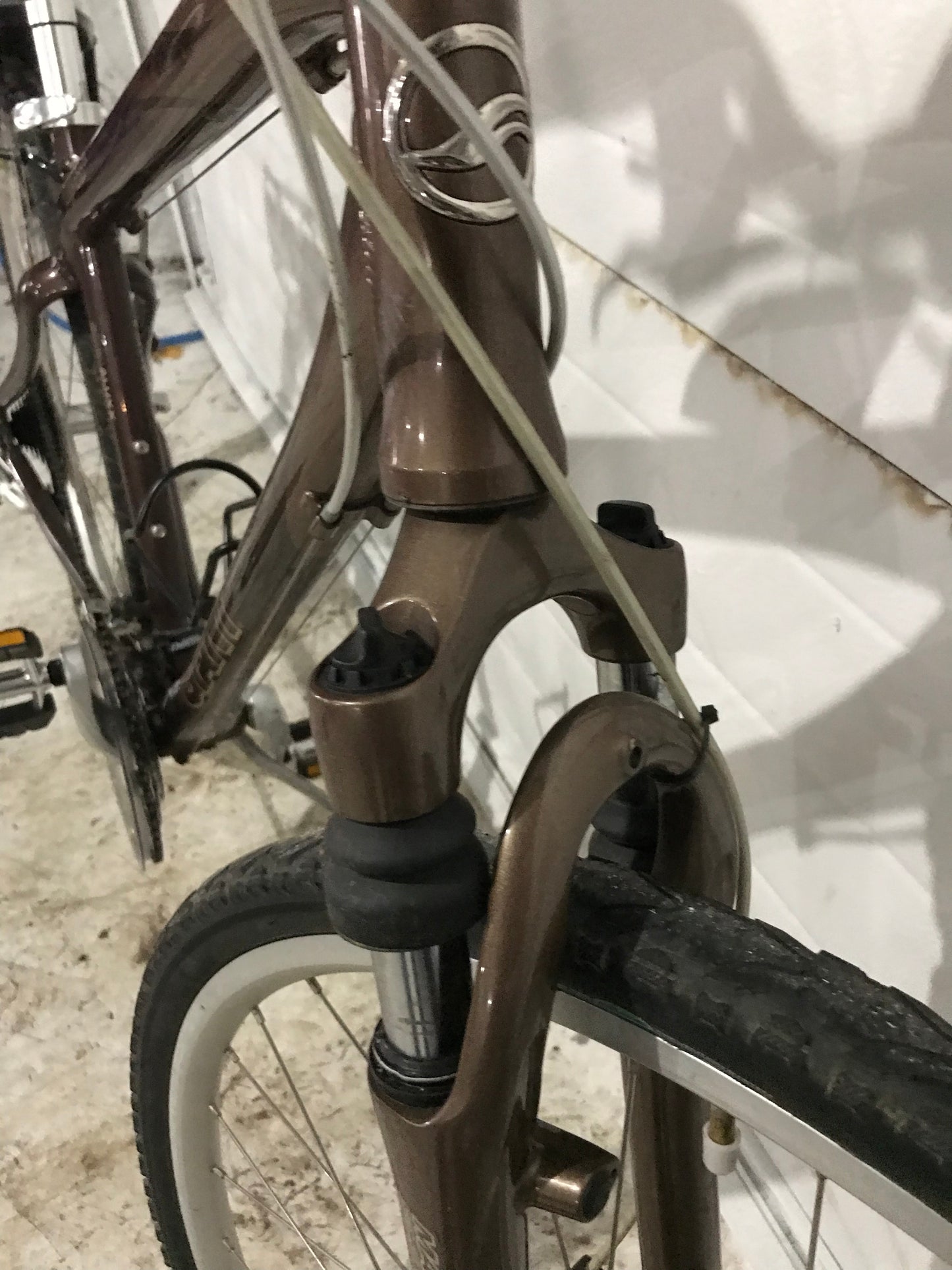 CYPRESS LX - Giant - 18”