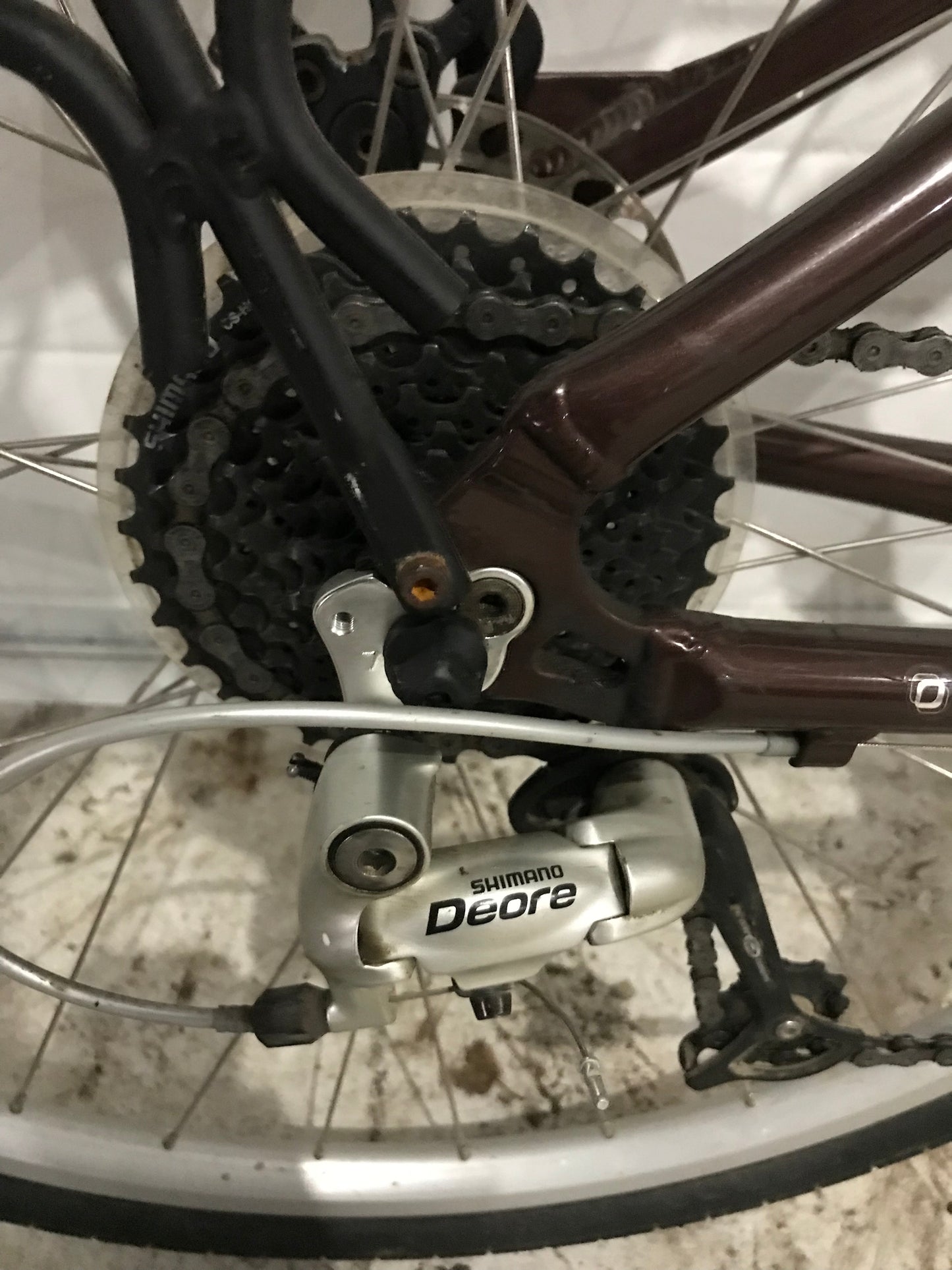 CYPRESS LX - Giant - 18”