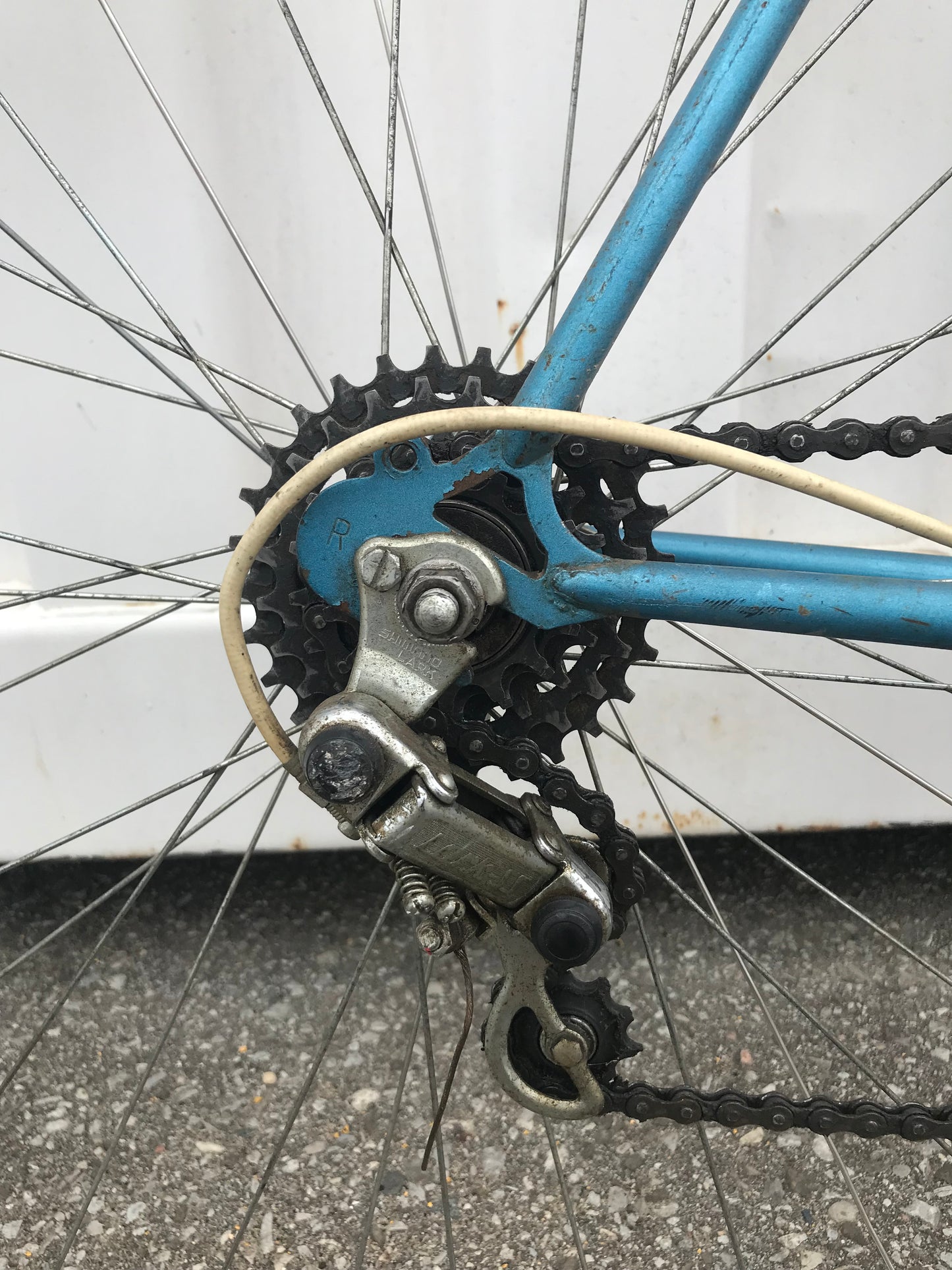TARGA - CCM - 22” - used