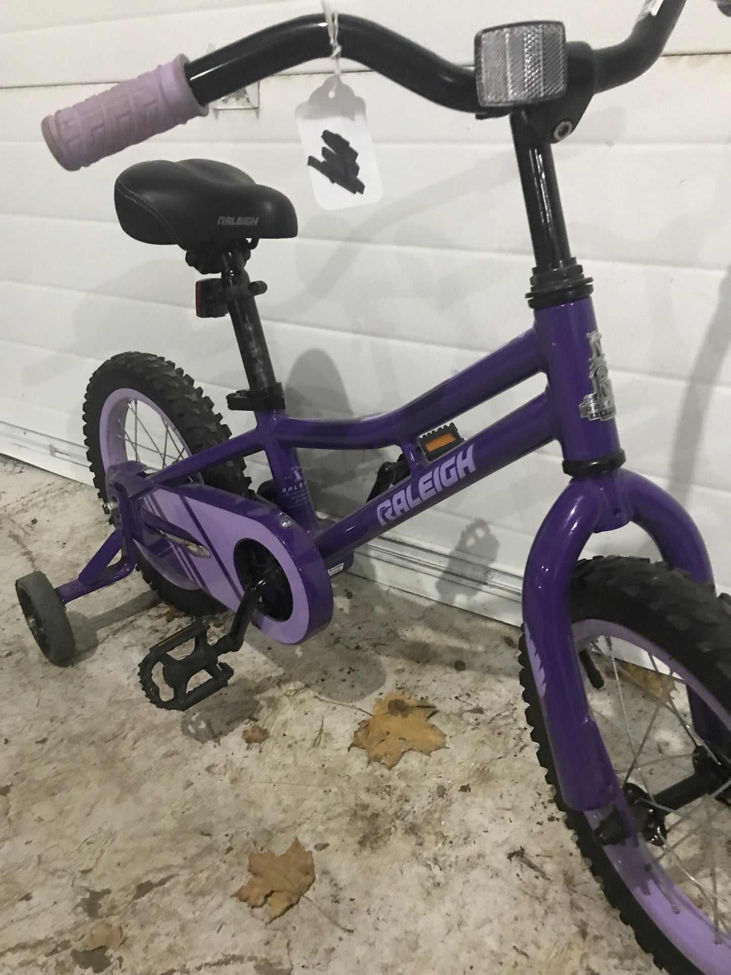14" RAWR - Raleigh