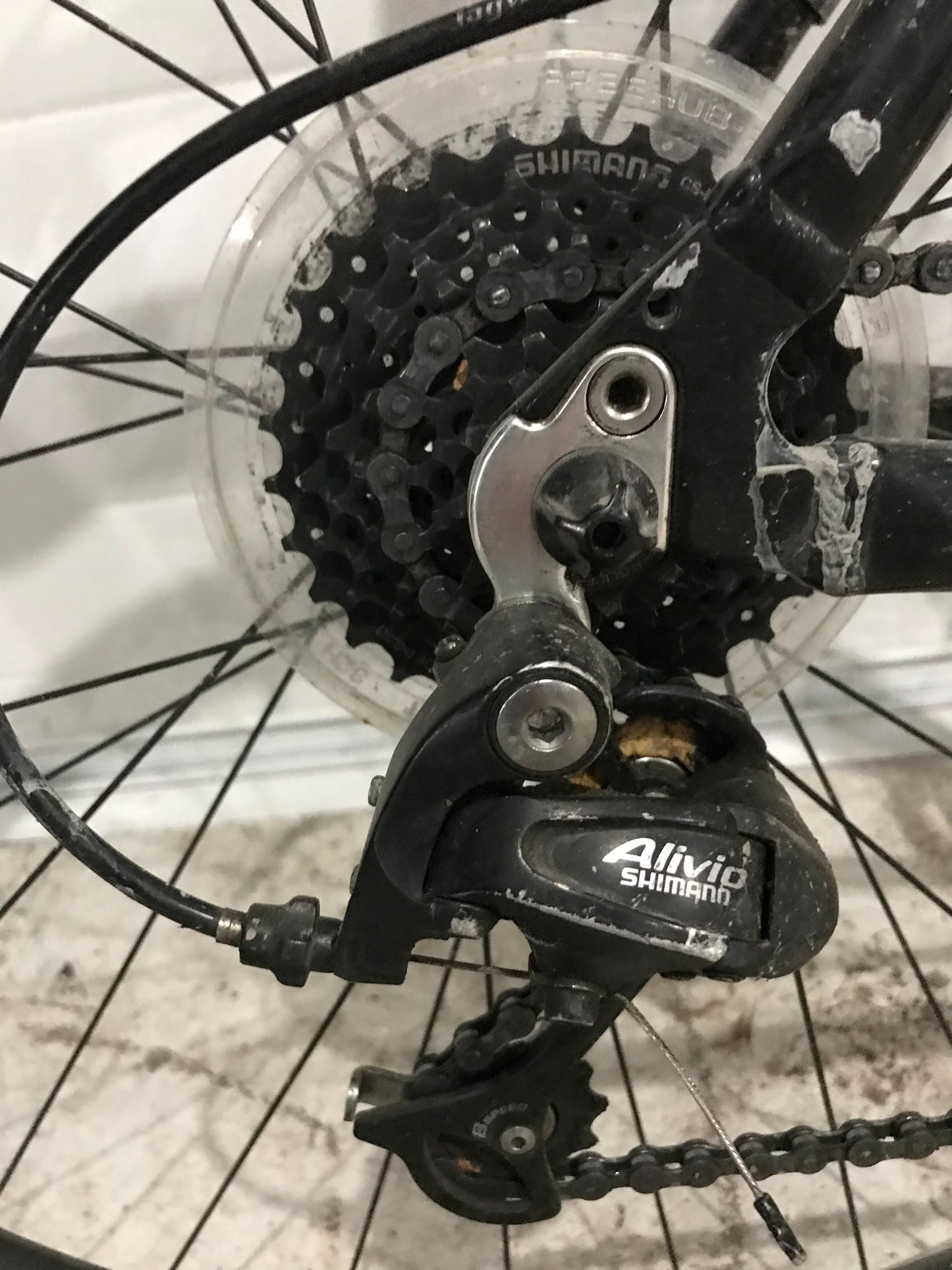 ZEBRAND - Gary Fisher