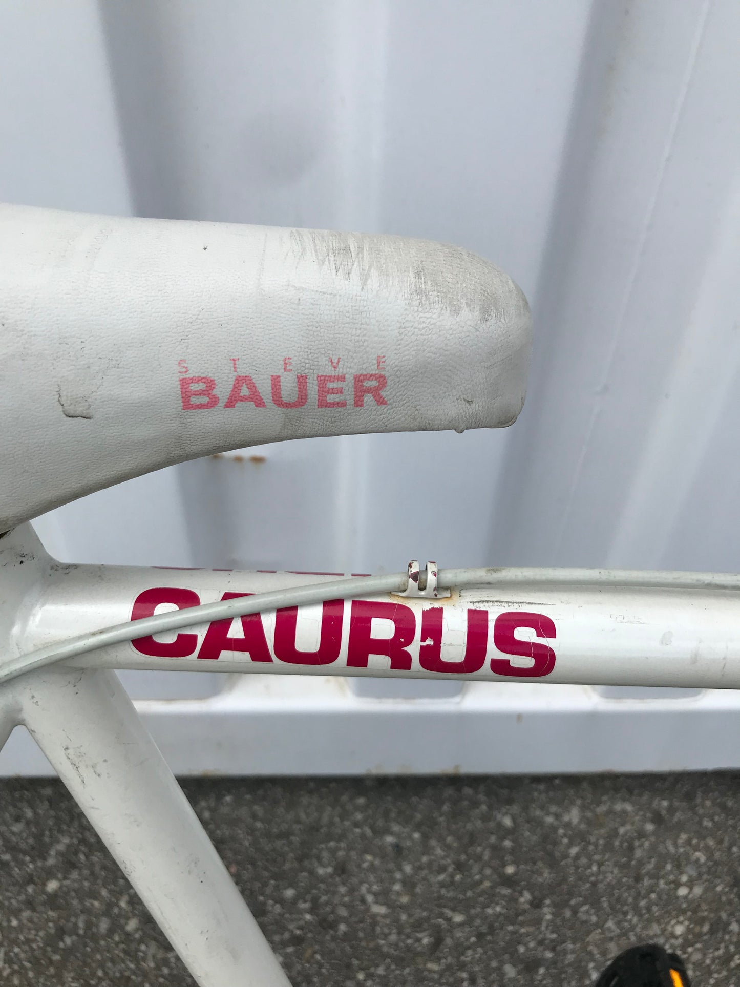CAURUS - Steve Bauer