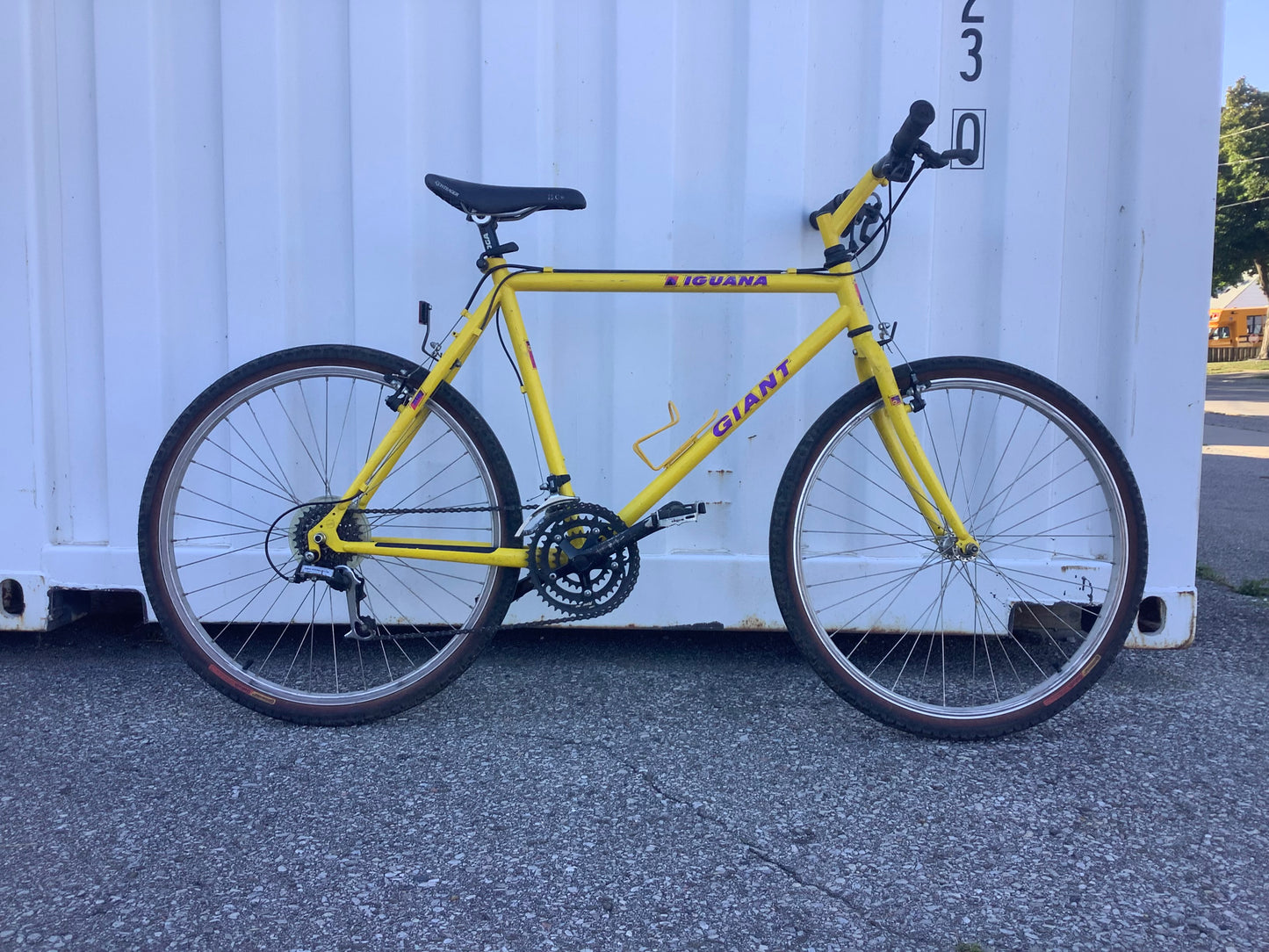 Giant - IGUANA - Vintage