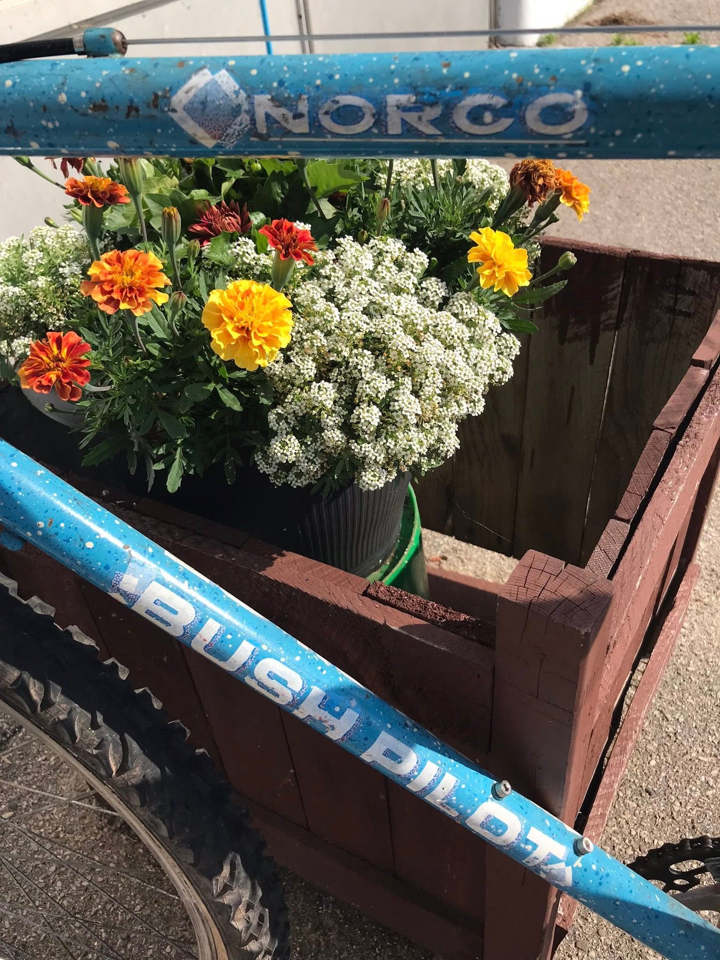 Norco - BUSH PILOT - 23"
