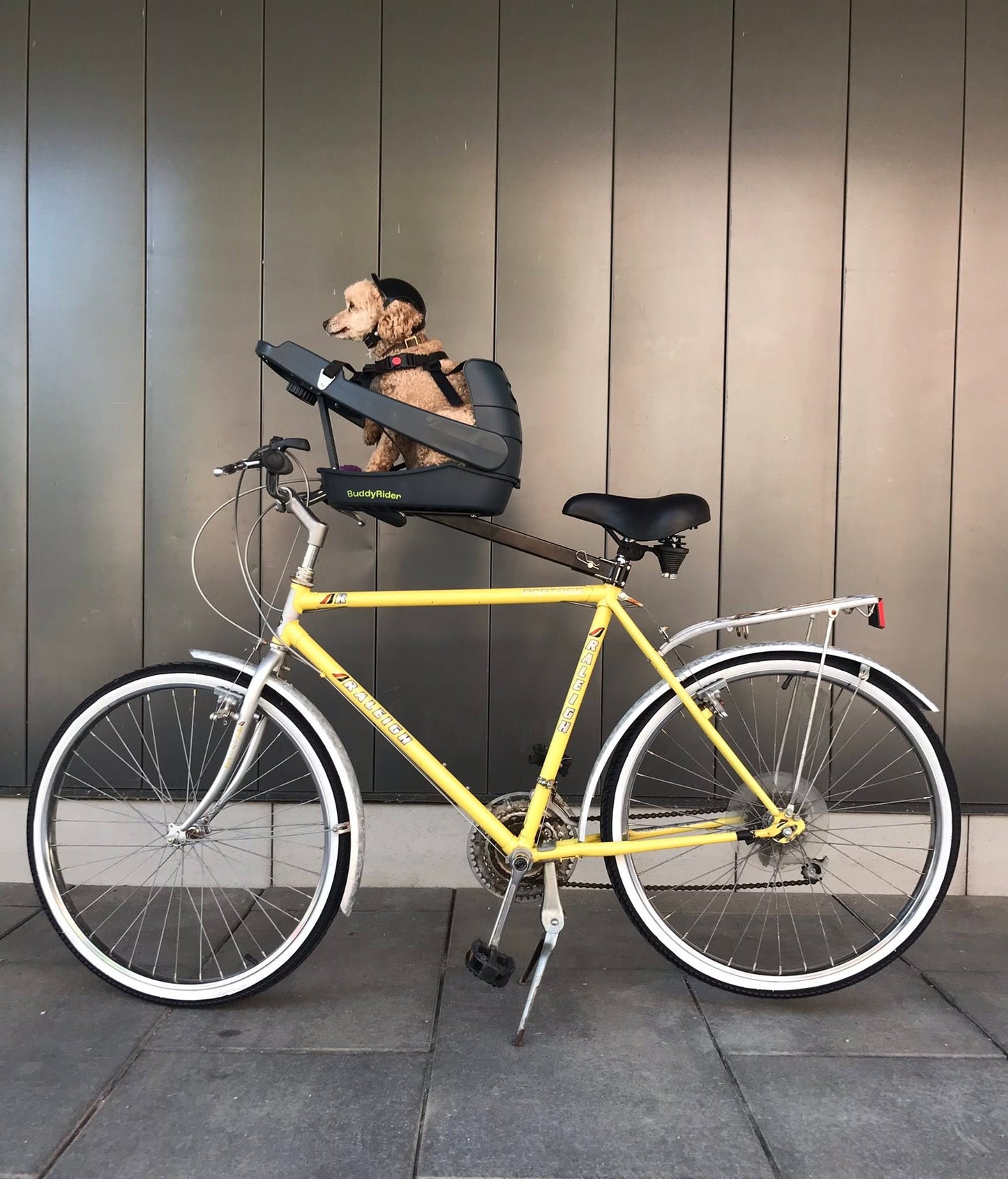 Raleigh - PORTAGE (dog & carrier not included)